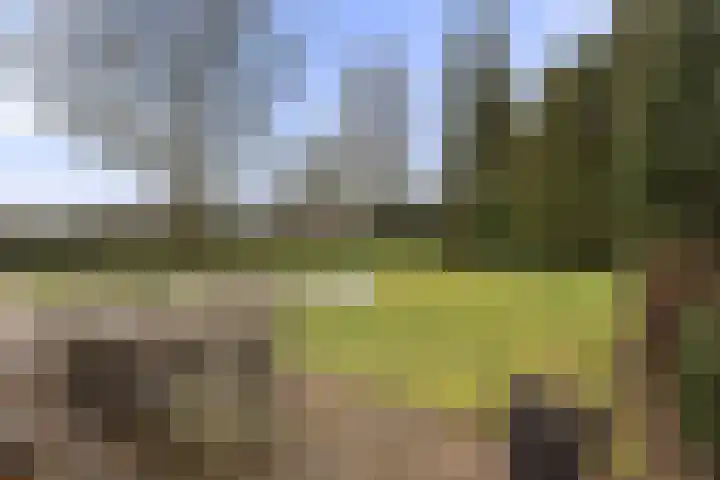 Dorpsstraat 7 Bathmen thumbnail 21