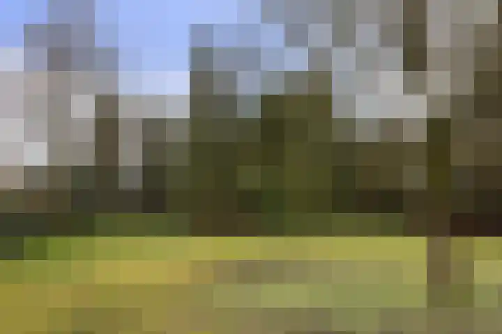 Dorpsstraat 7 Bathmen thumbnail 22