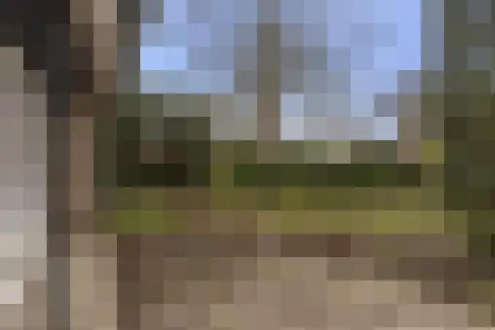 Dorpsstraat 7 Bathmen thumbnail 23