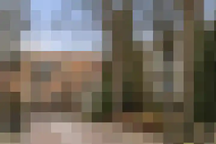 Dorpsstraat 7 Bathmen thumbnail 24