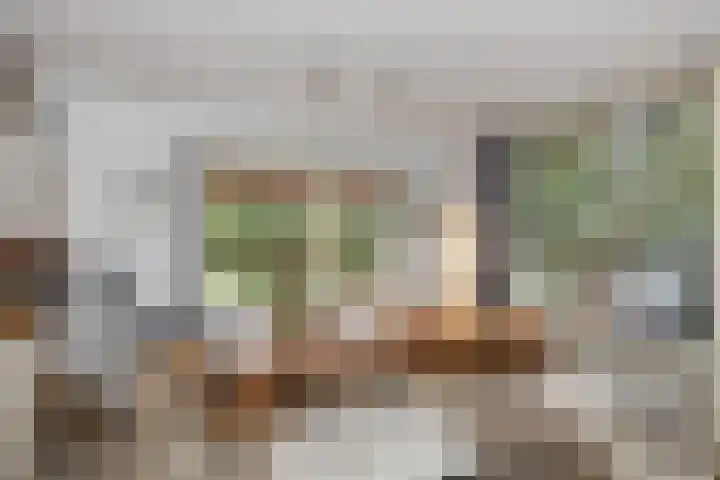 Dorpsstraat 7 Bathmen thumbnail 6