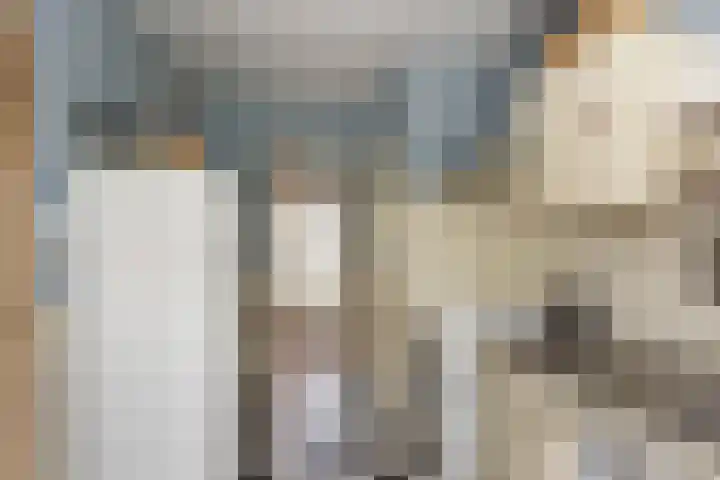 Dorpsstraat 7 Bathmen thumbnail 8