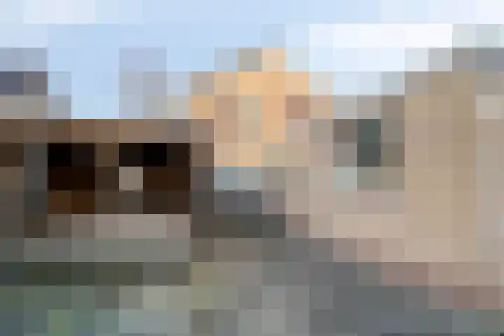 Dorpsstraat 7 Elim thumbnail 25