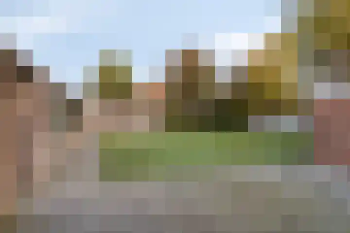 Dorpsstraat 7 Elim thumbnail 30