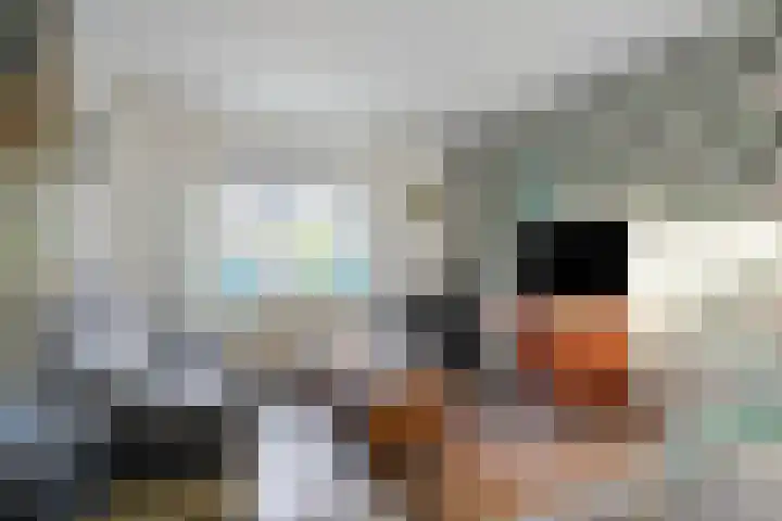 Dorpsstraat 7 Elim thumbnail 6