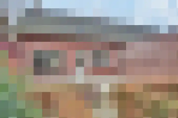 Dorpsstraat 7 Esbeek thumbnail 30