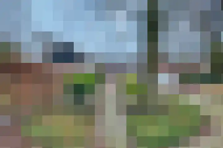 Dorpsstraat 7 Esbeek thumbnail 36