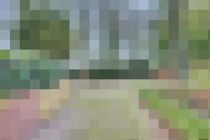 Dorpsstraat 7 Esbeek thumbnail 37