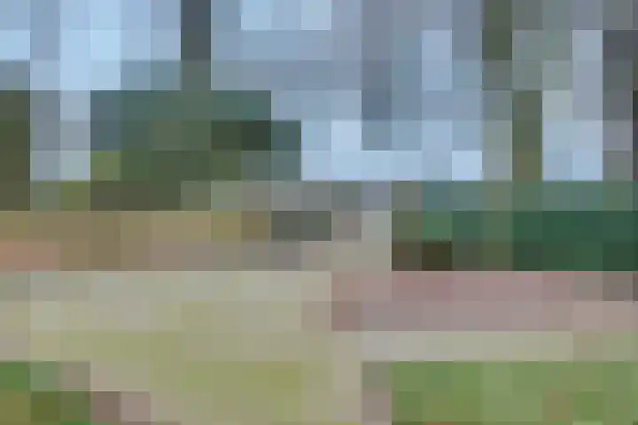 Dorpsstraat 7 Esbeek thumbnail 39