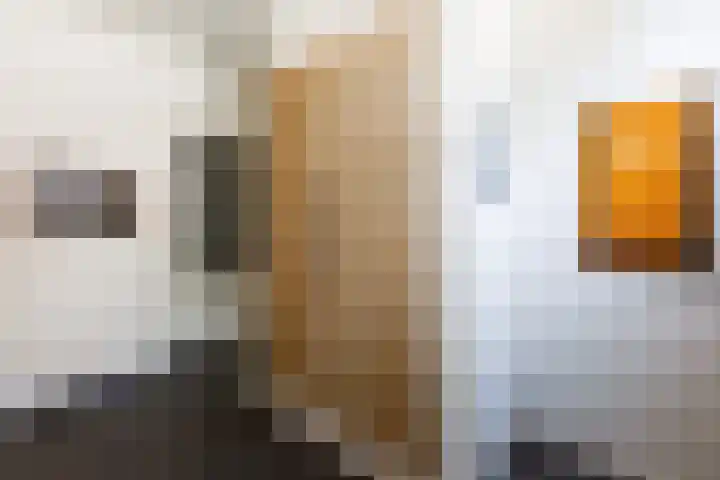 Dorpsstraat 7 Etten thumbnail 12