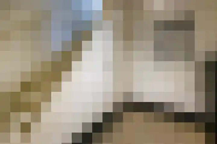 Dorpsstraat 7 Etten thumbnail 17