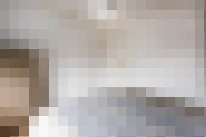 Dorpsstraat 7 Etten thumbnail 21