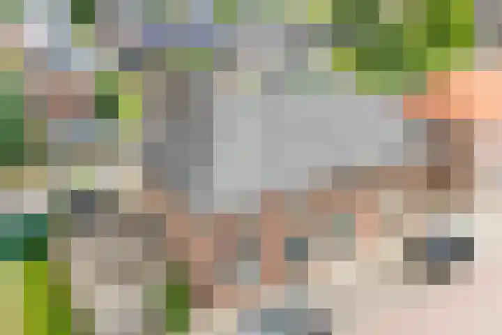 Dorpsstraat 7 Etten thumbnail 36