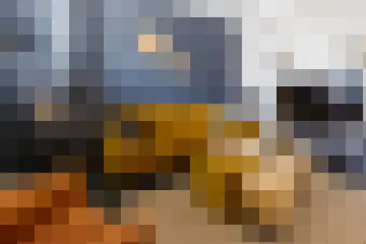 Dorpsstraat 7 Etten thumbnail 4