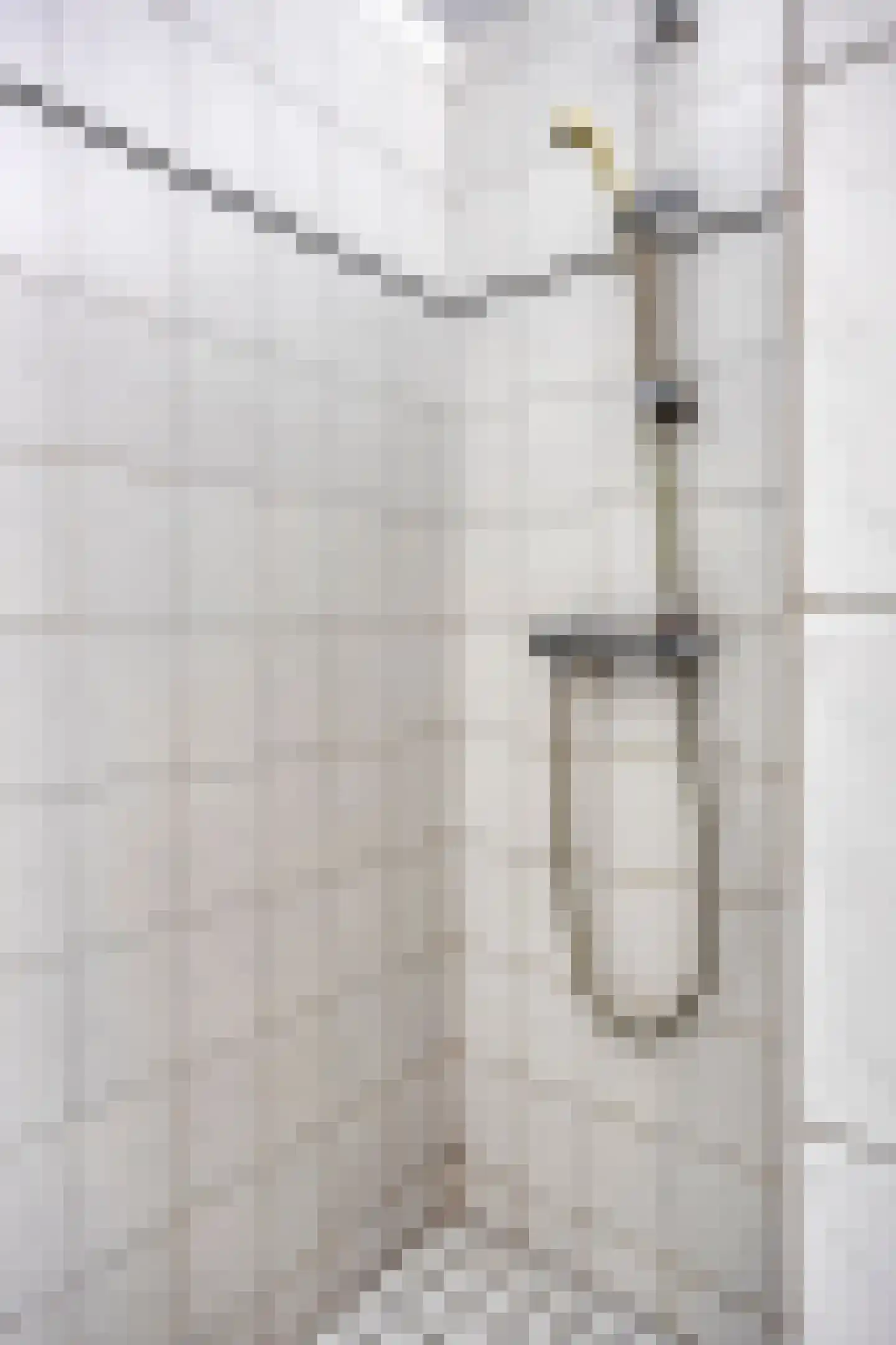 Dorpsstraat 7 Steenderen thumbnail 37