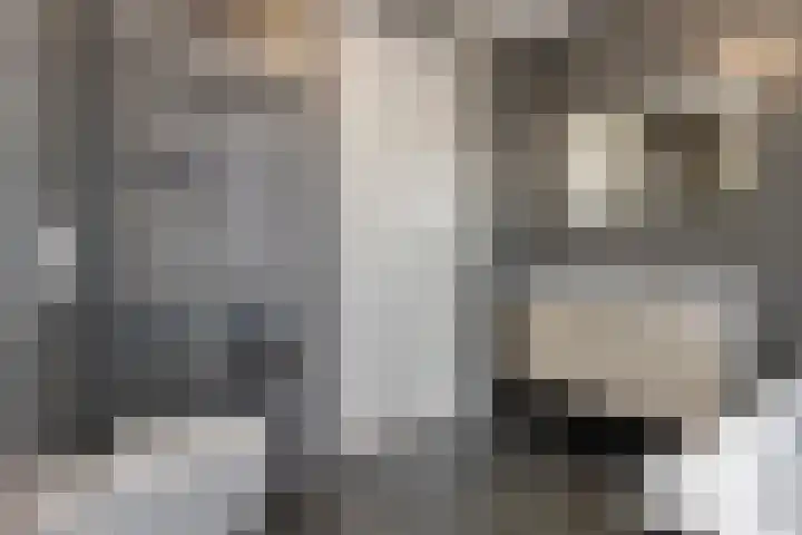 Dorpsstraat 7 Vuren thumbnail 21