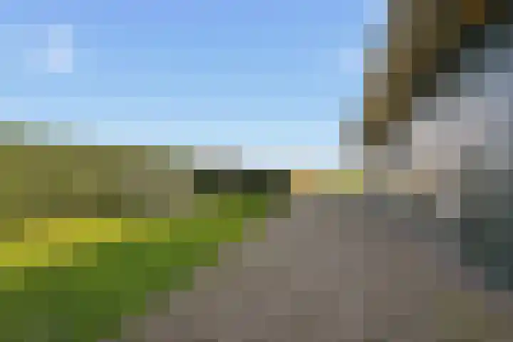 Dorpsstraat 73 Assendelft thumbnail 32