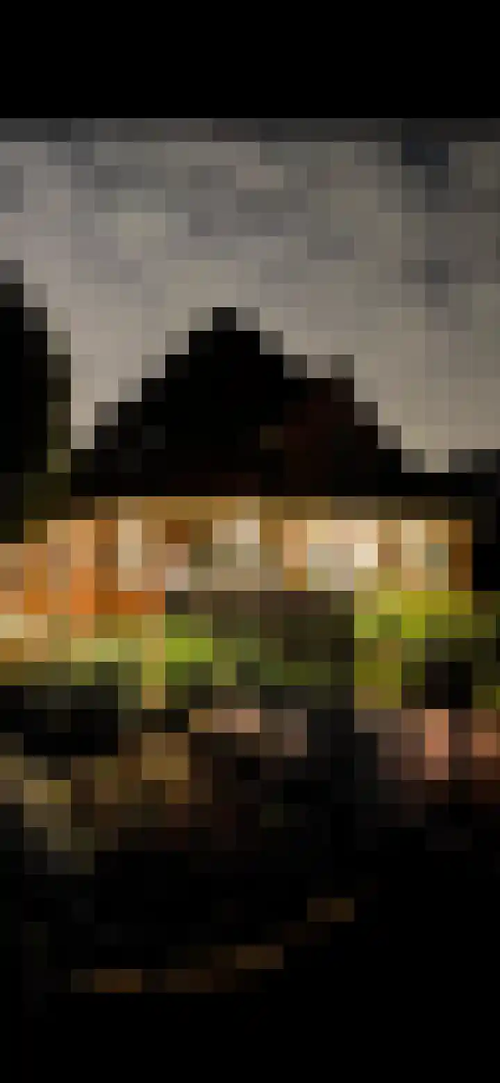 Dorpsstraat 73 Assendelft thumbnail 60