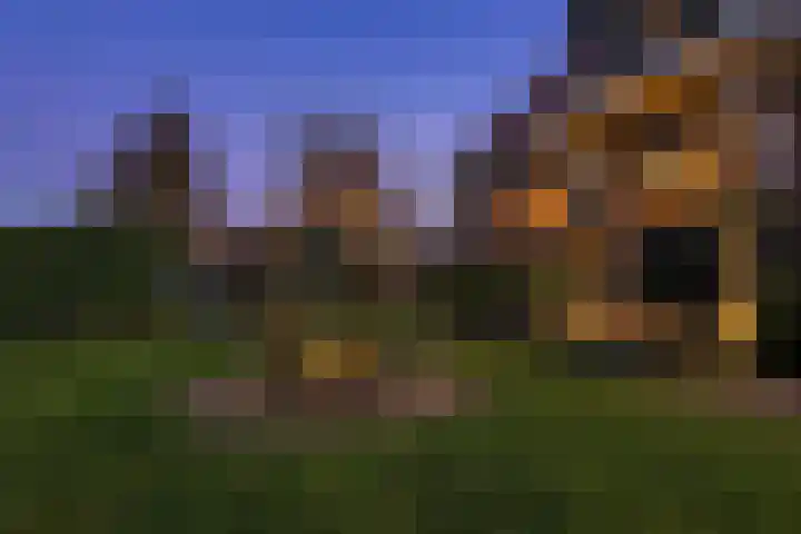 Dorpsstraat 73 Assendelft thumbnail 63