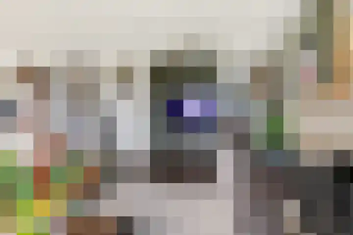 Dorpsstraat 73 Assendelft thumbnail 7