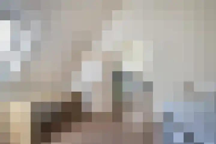 Dorpsstraat 76 Bakel thumbnail 37