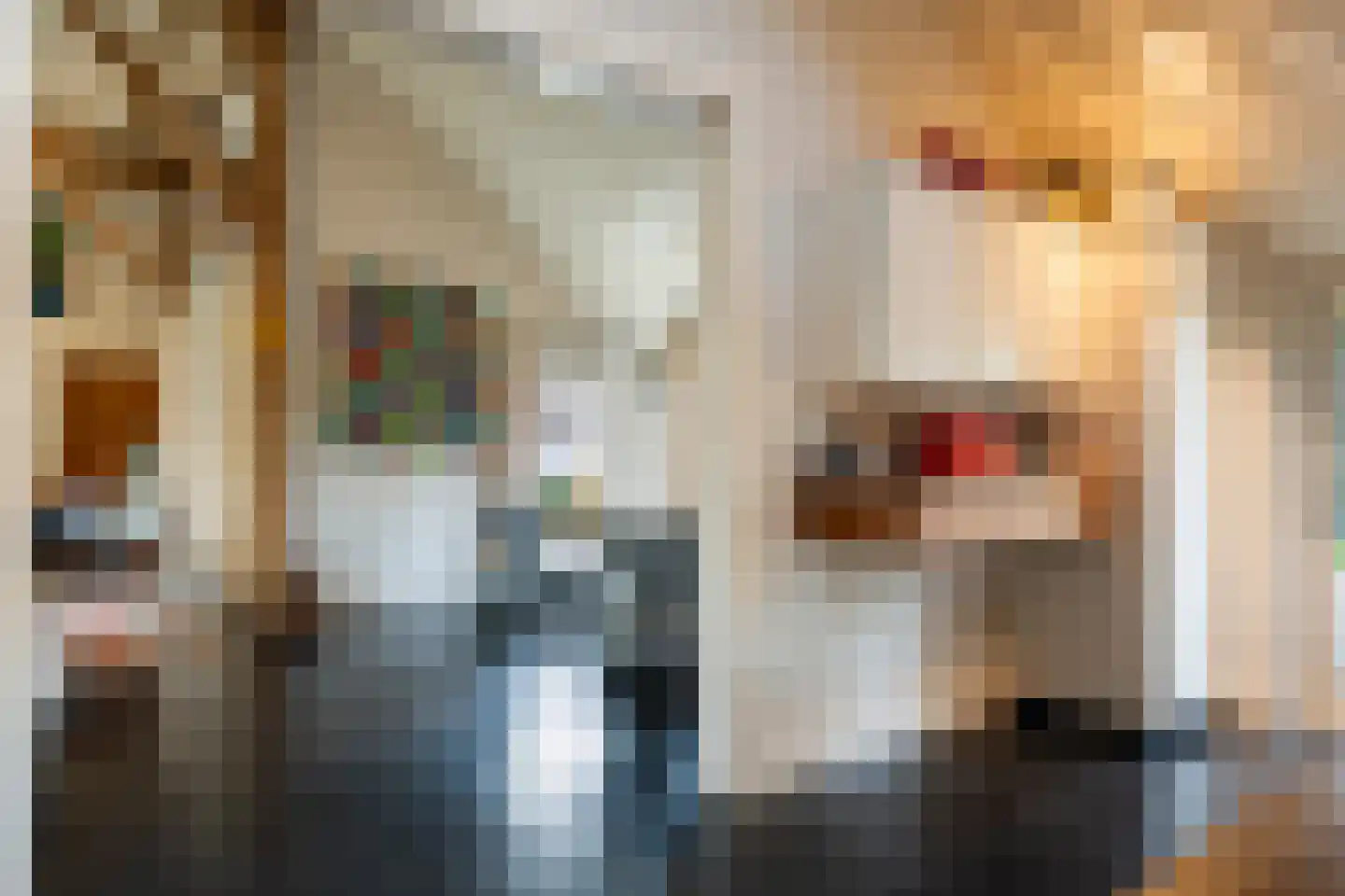 Dorpsstraat 8 Gees thumbnail 12