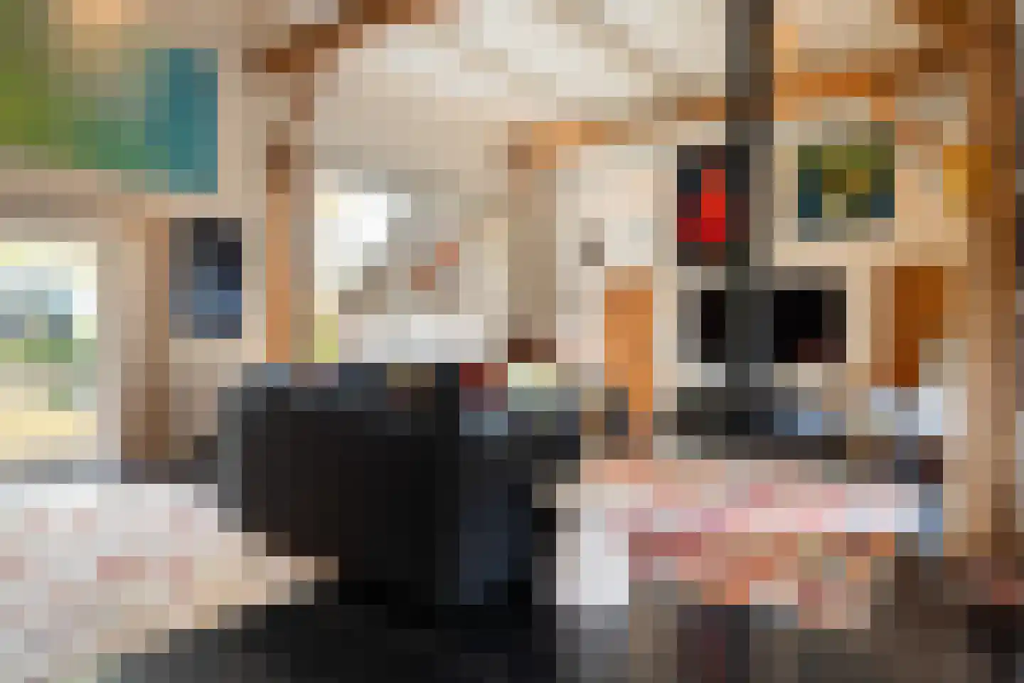 Dorpsstraat 8 Gees thumbnail 13
