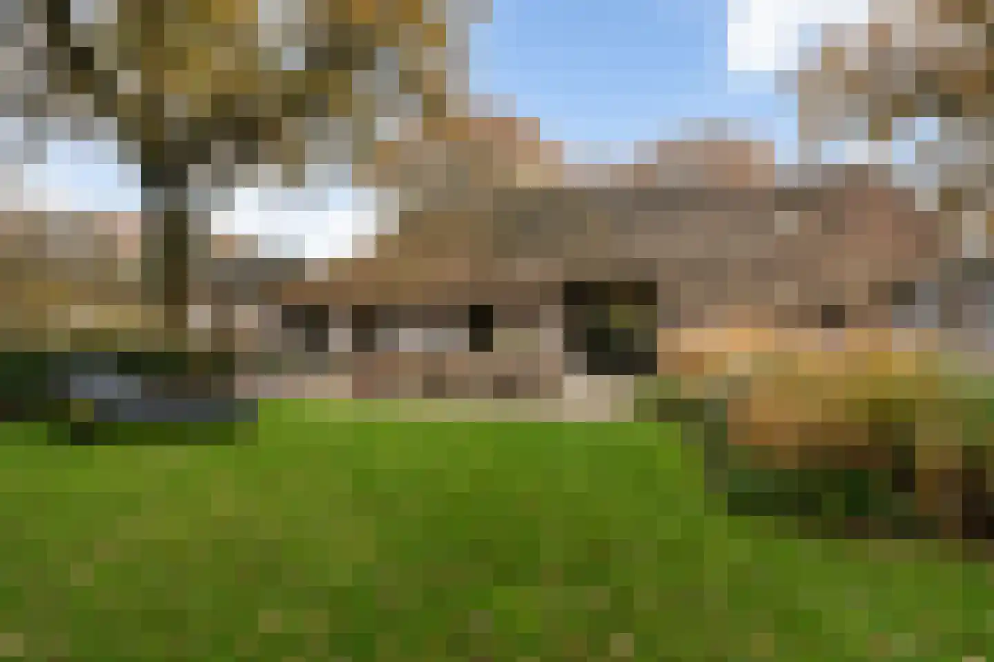 Dorpsstraat 8 Gees thumbnail 34