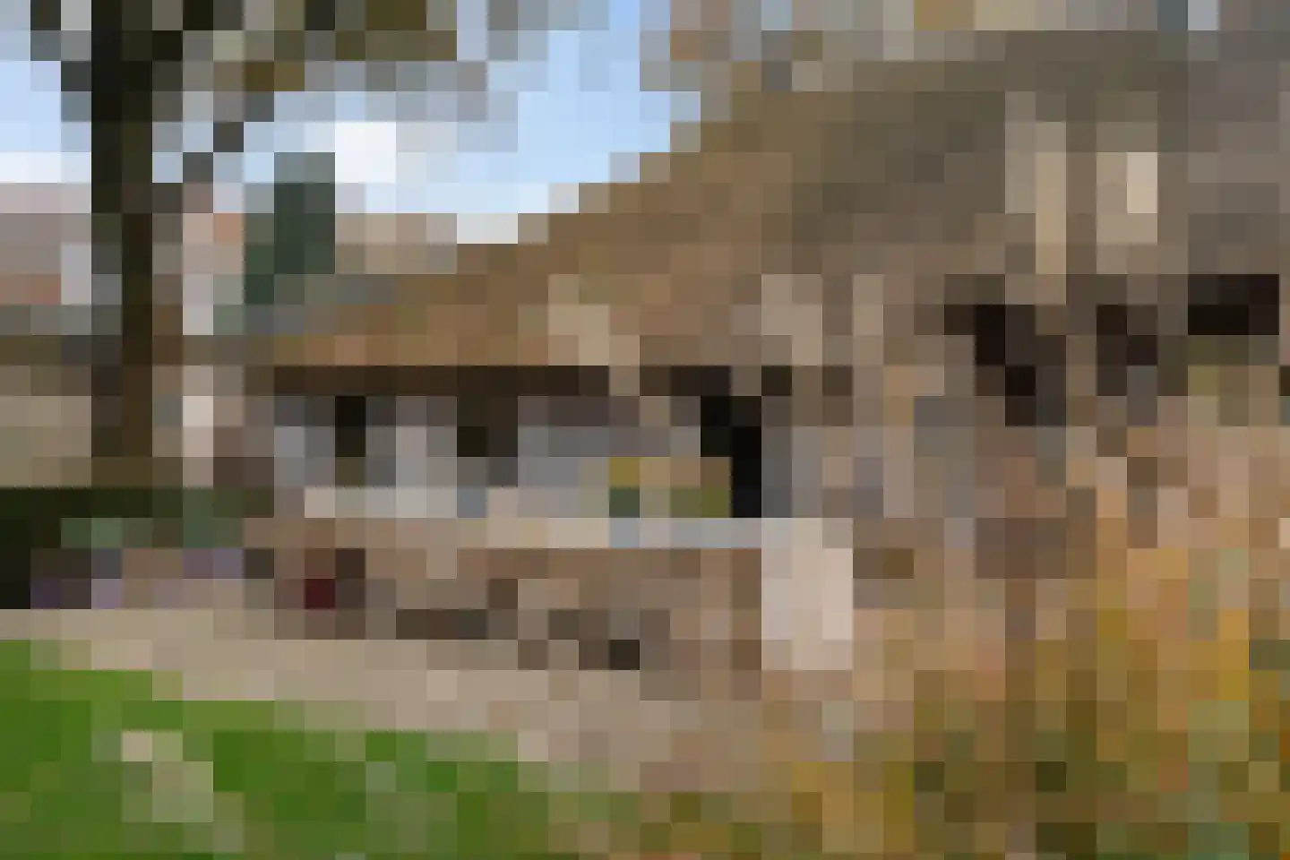 Dorpsstraat 8 Gees thumbnail 37