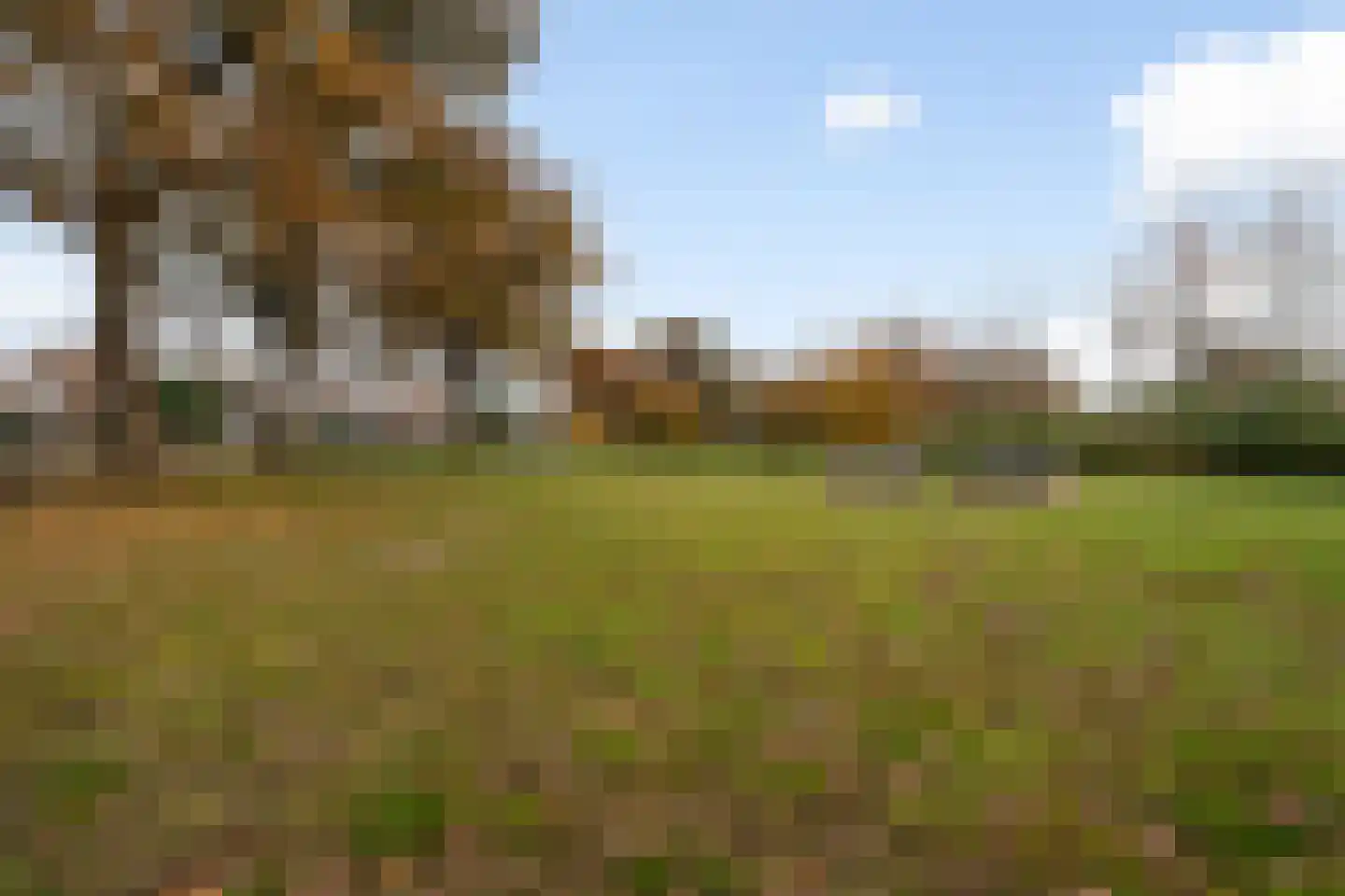 Dorpsstraat 8 Gees thumbnail 47