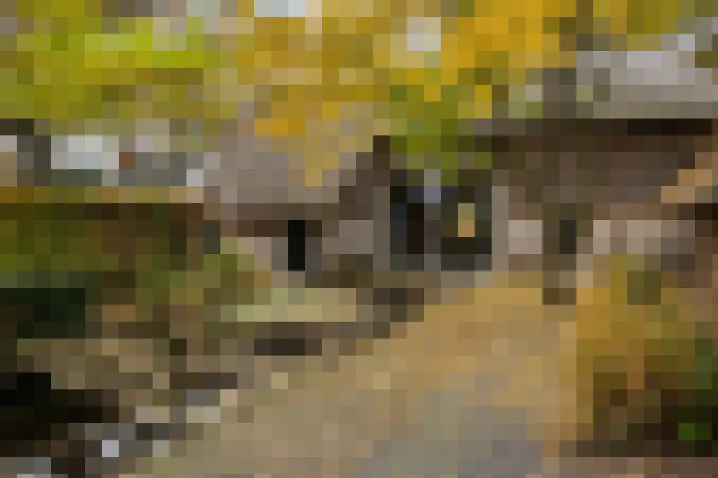 Dorpsstraat 8 Gees thumbnail 55