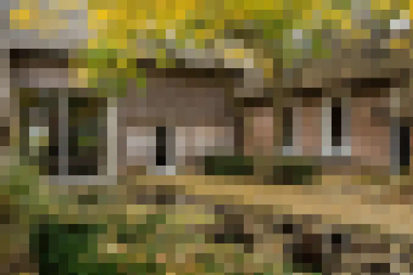Dorpsstraat 8 Gees thumbnail 56