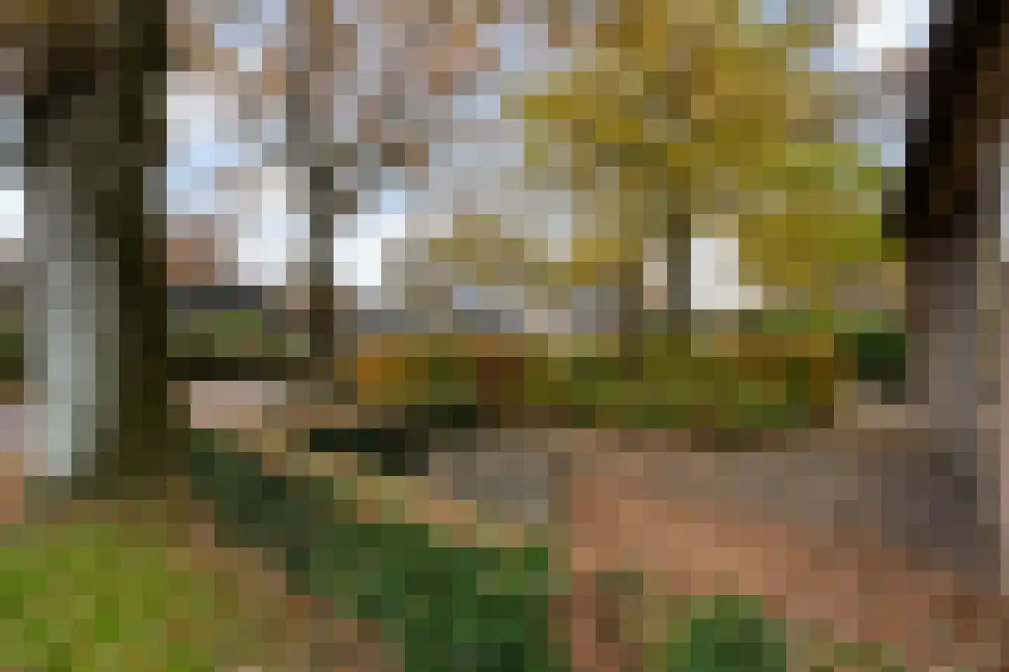 Dorpsstraat 8 Gees thumbnail 58