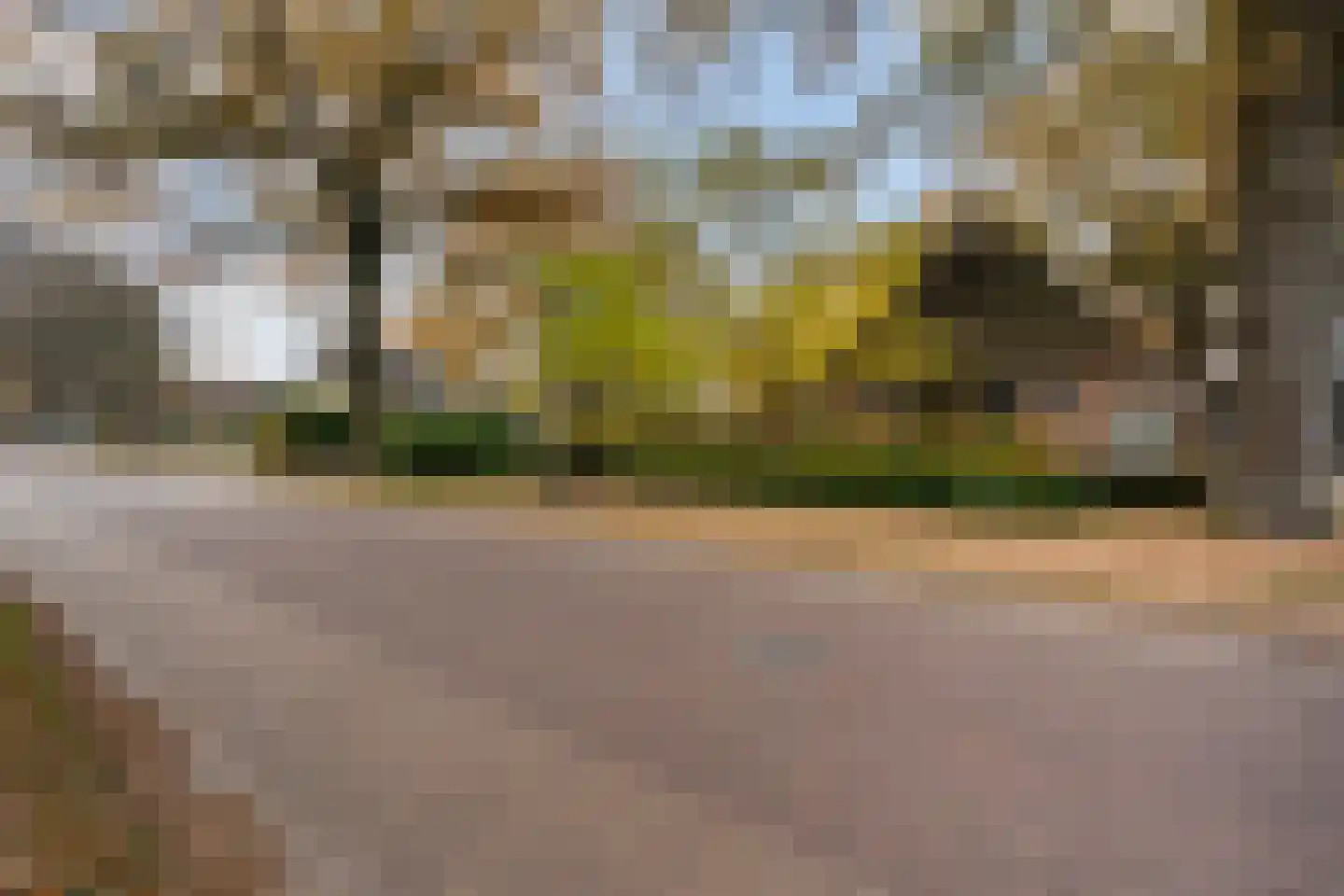 Dorpsstraat 8 Gees thumbnail 64