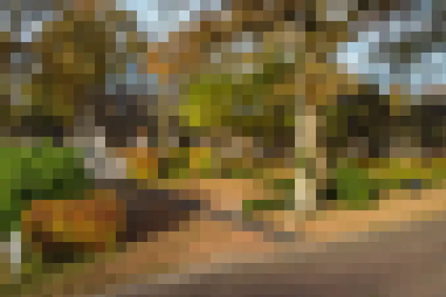 Dorpsstraat 8 Gees thumbnail 68