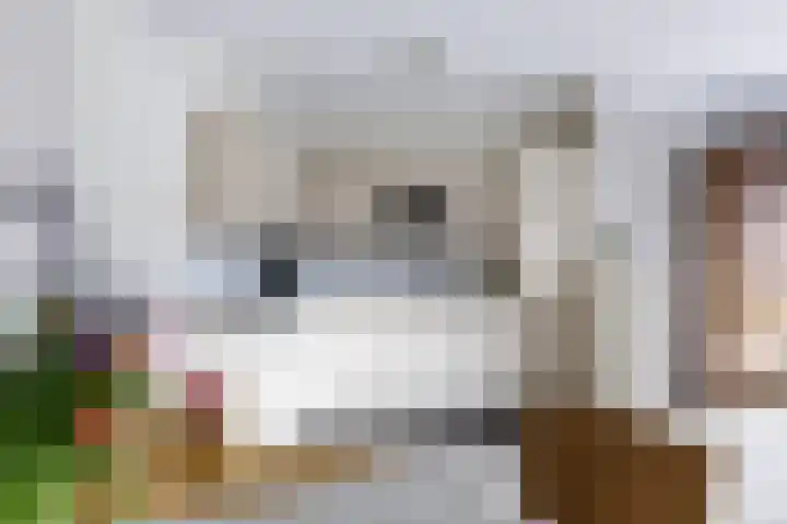 Dorpsstraat 83 Heino thumbnail 19