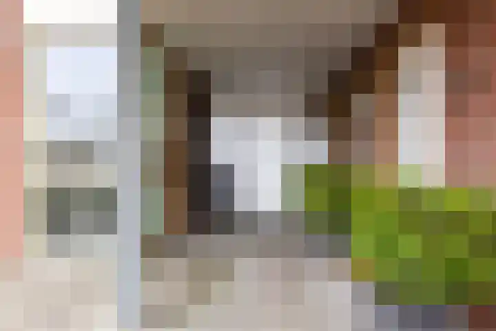 Dorpsstraat 83 Heino thumbnail 5