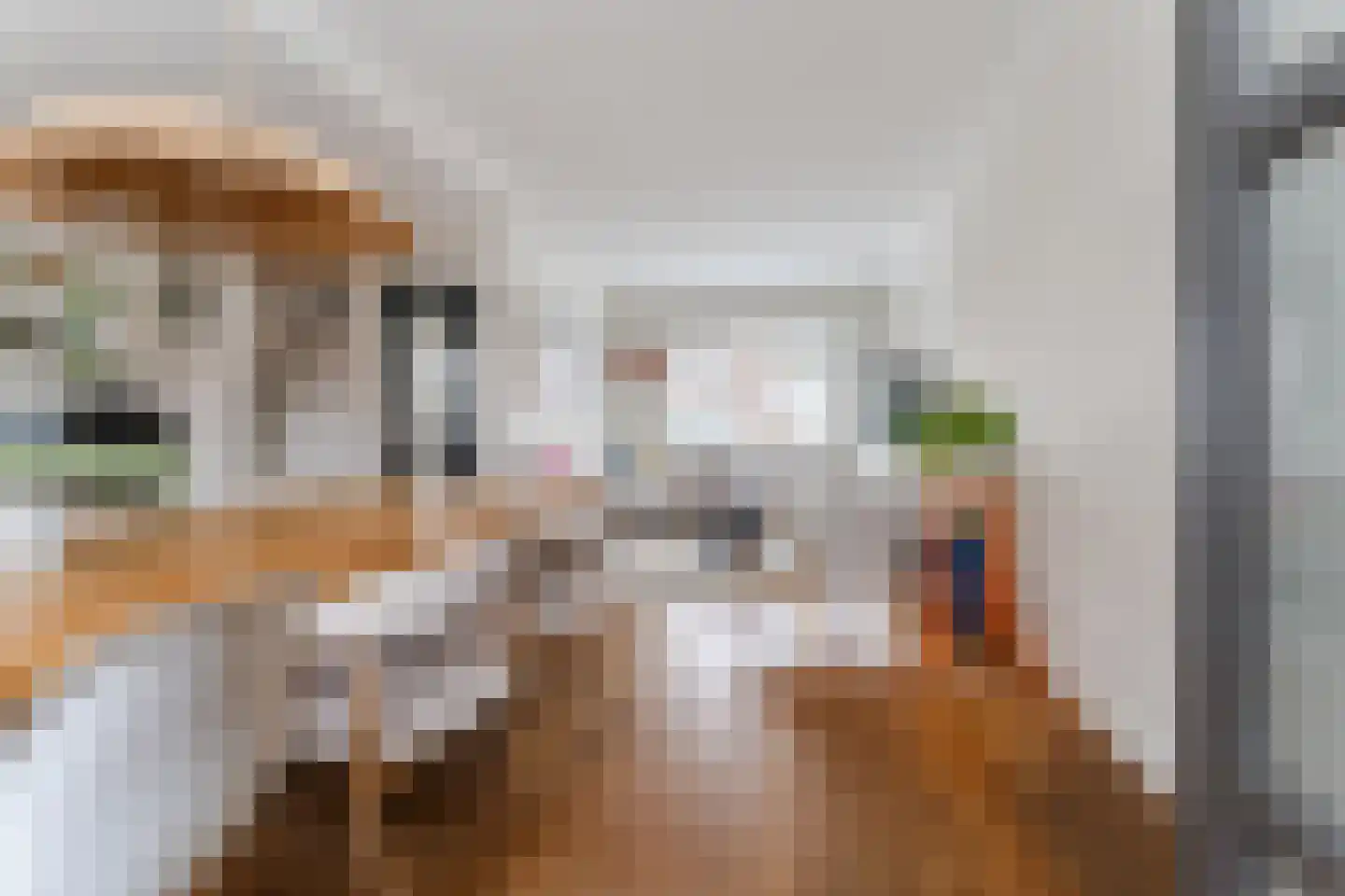 Dorpsstraat 839 Assendelft thumbnail 11