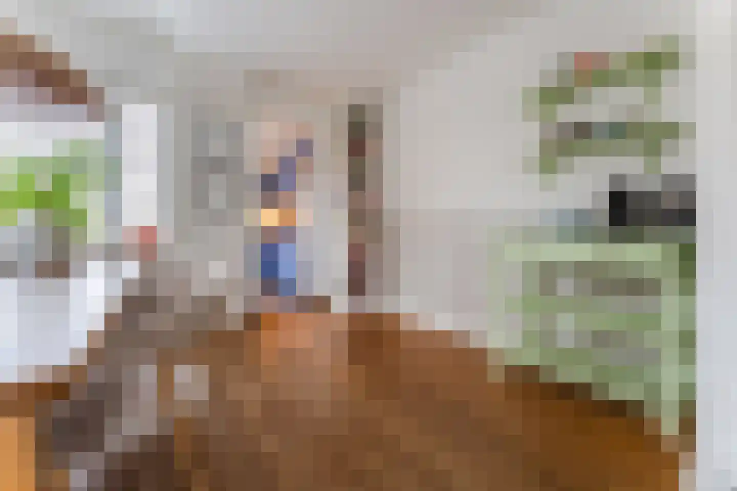 Dorpsstraat 839 Assendelft thumbnail 15