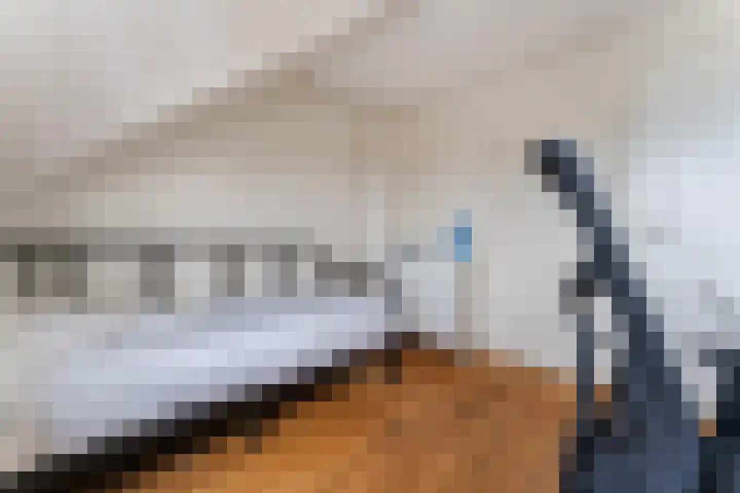 Dorpsstraat 839 Assendelft thumbnail 33