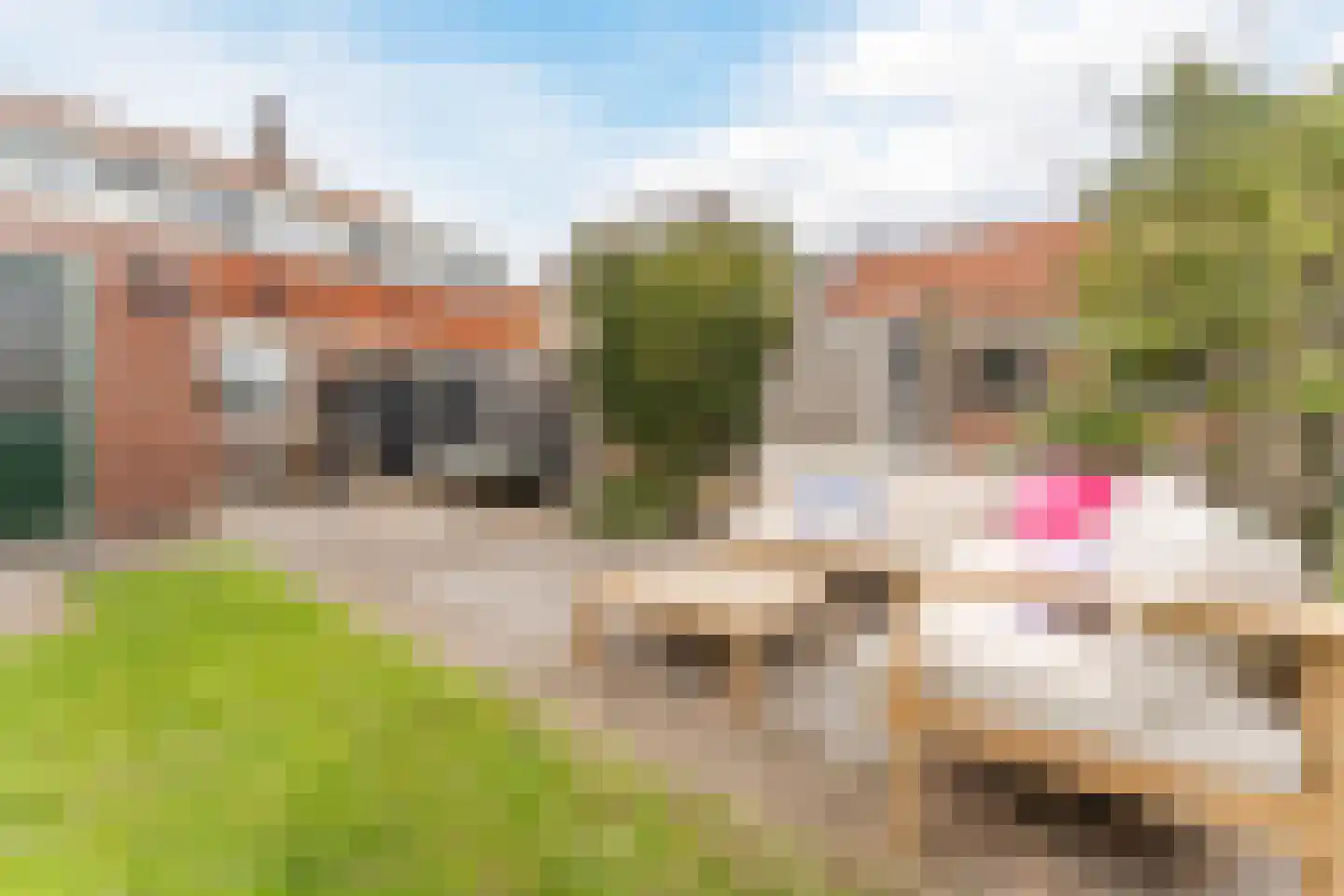 Dorpsstraat 839 Assendelft thumbnail 41