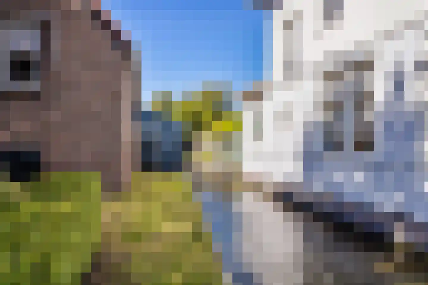 Dorpsstraat 87 Warmond thumbnail 35