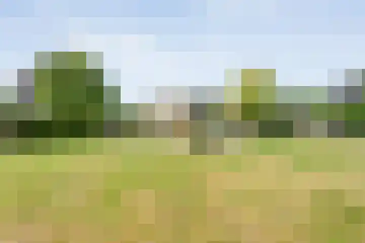 Dorpsstraat 9 Zorgvlied thumbnail 10