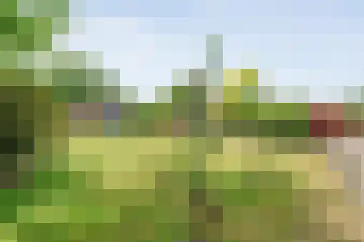 Dorpsstraat 9 Zorgvlied thumbnail 11