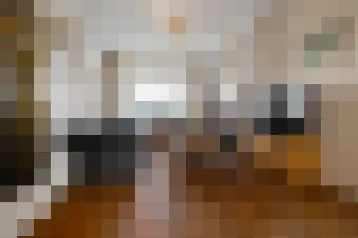 Dorpsstraat 9 Zorgvlied thumbnail 19
