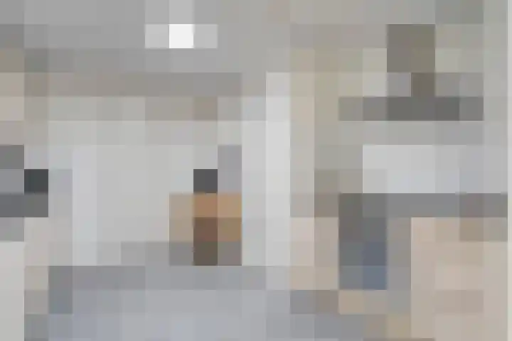 Dorpsstraat 9 Zorgvlied thumbnail 22