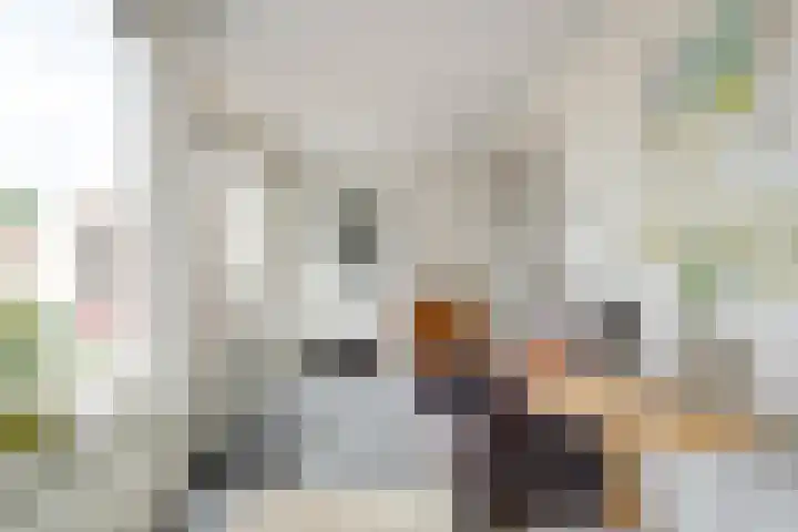 Dorpsstraat 9 Zorgvlied thumbnail 26