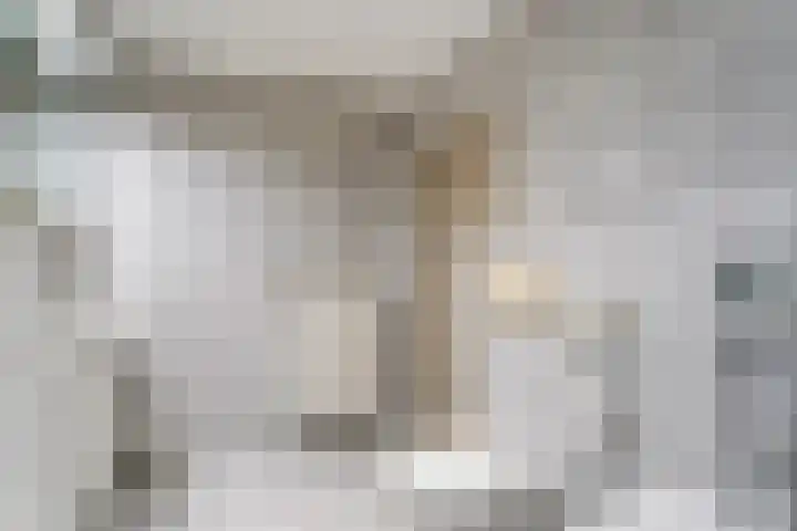 Dorpsstraat 9 Zorgvlied thumbnail 38