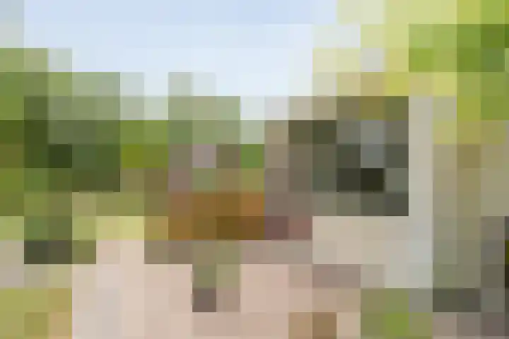 Dorpsstraat 9 Zorgvlied thumbnail 41