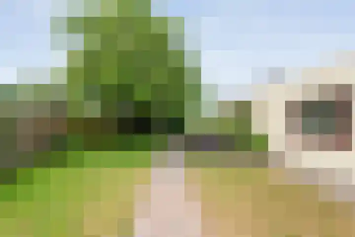 Dorpsstraat 9 Zorgvlied thumbnail 43